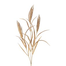 Rye, 79cm, brown