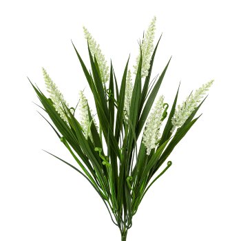 Dracaena bush 1/poly, 53cm, white, 1/pc.