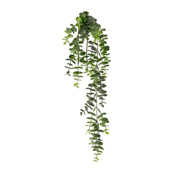 Eucalyptus hanging branch, 63cm, green, 6/pcs