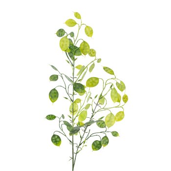 Pfennigblattzweig 1/Poly, 76 cm, grün, 1/Stck