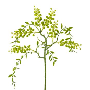 Mimosa hanging branch, 58cm, green