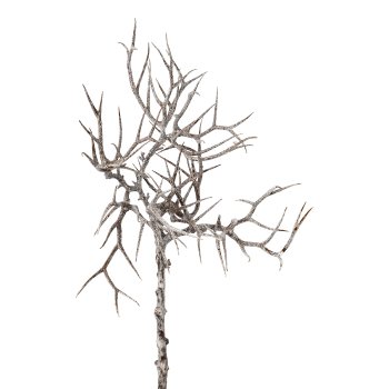 Thorn branch white washed, 45 cm, frost,
