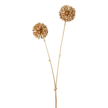 Allium, 55cm, gold