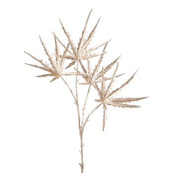 Aralie x 4, 66cm, champagne,