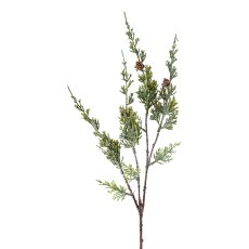 Juniperus branch with cone frosted, 68cm, frost,
