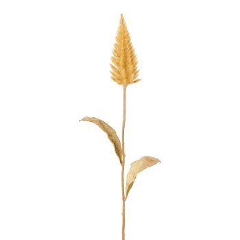Celosia branch, 57cm, honey,