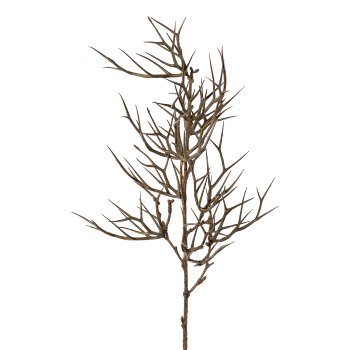 Thorn branch, 69cm, natural,