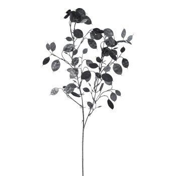 Eucalyptus branch, 78cm, black