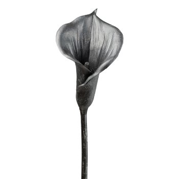 Calla, metallic, 68cm, schwarz