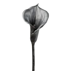 Calla, metallic, 68 cm, black