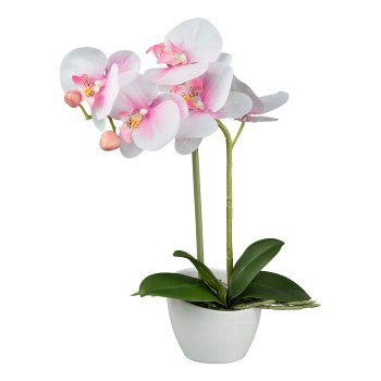 Phalaenopsis im weißen Melaminetopf, 33cm, rosa "Real Touch"