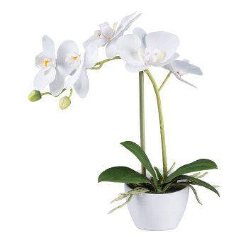 Phalaenopsis im weißen Melaminetopf, 33cm, weiß "Real Touch"