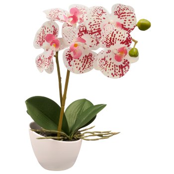 Phalaenopsis in white melamine pot, 33cm, white