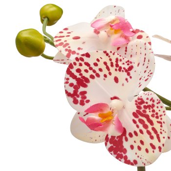 Phalaenopsis im Melamintopf, 33cm, weißlila gesprenkelt real touch Set 2