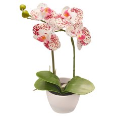 Phalaenopsis im Melamintopf, 33cm, weißlila gesprenkelt real touch Set 2