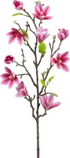 Magnolia, 83cm, cerise
