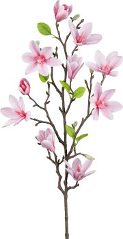 Magnolie, 83cm, rosa