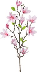 Magnolia, 83cm, pale pink