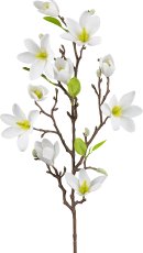 Magnolia, 83cm, white