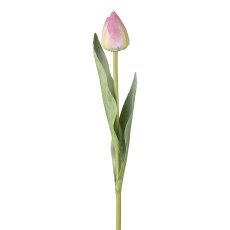 Tulpe, 49cm, rosa