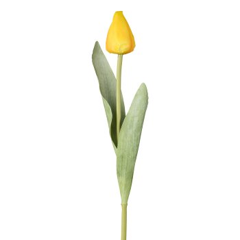 Tulpe, 49cm, gelb