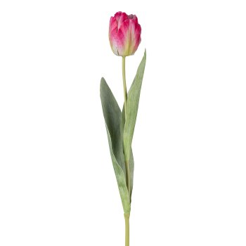 Tulpe offen, 49cm, dunkelrosa