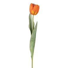 Tulip open, 49cm, orange