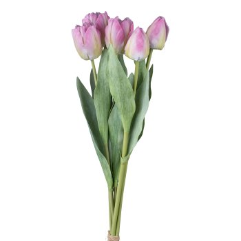 Tulpenbund x5, 49cm, rosa