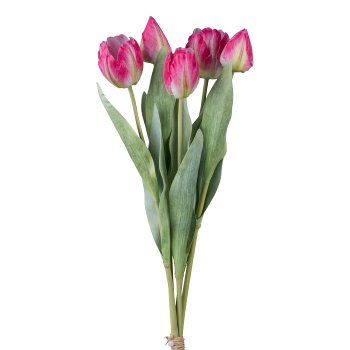 Tulip bunch x 5, 49cm, dark pink