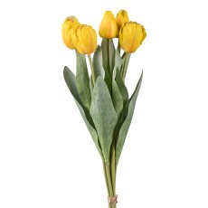 Tulip waistband x 5, 49cm, yellow