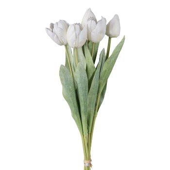 Tulip bunch x 5, 49cm, white