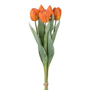 Tulpenbund x5, 49cm, orange