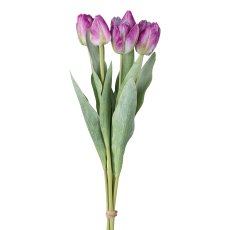 Tulpenbund x5, 49cm, lila
