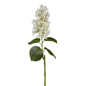 Hydrangea, 74cm, white