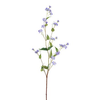 Wegwarte, 100cm, lavendel