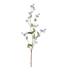 Chicory, 100cm, lavender