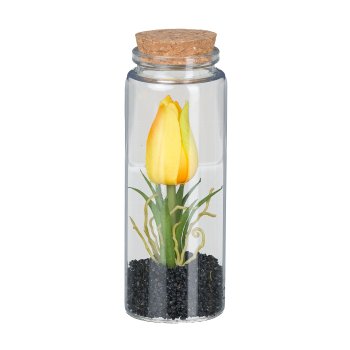 Tulip in glass with lid, 12.5 cm, yellow