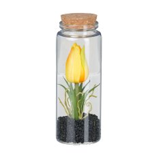 Tulip in glass with lid, 12.5 cm, yellow