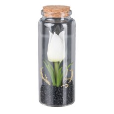 Tulip in glass with lid, 12.5 cm, white