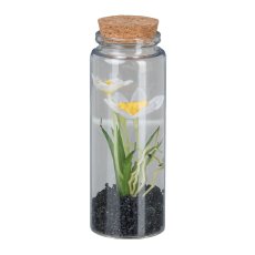 Daffodil in glass with lid, 12.5cm, white