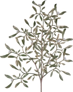 Mistletoe, 55cm, gold