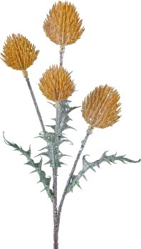 Thistle Branch, 42cm, sand