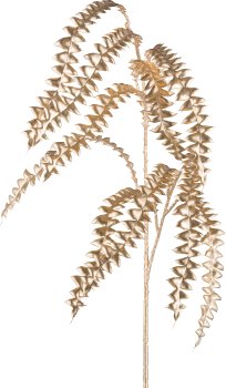 Grevillea branch, 83cm, gold