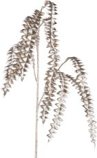 Grevillea branch, 83cm, champagne