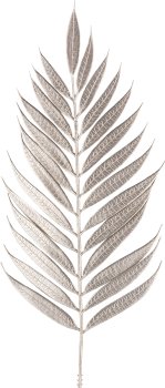 Palmzweig, 75cm, champagner