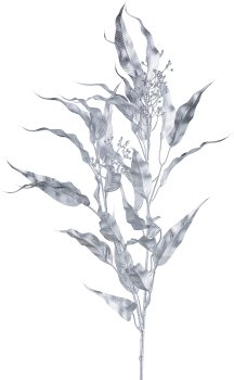 Eucalyptus branch, 79cm, silver