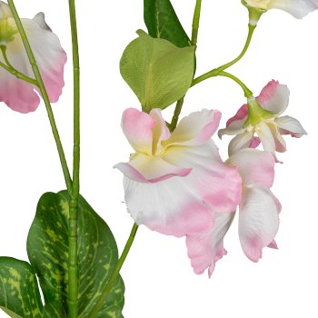 Wickenzweig, 62cm, rosa