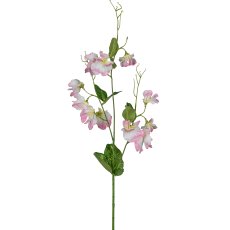 Vetch branch, 62cm, pale pink