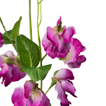 Vetch branch, 62cm, pink