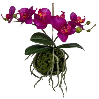 Phalaenopsis hanger in a ball, 15x12x23cm, pink